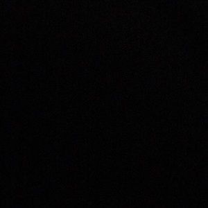 Meet your Posher, Demetrius